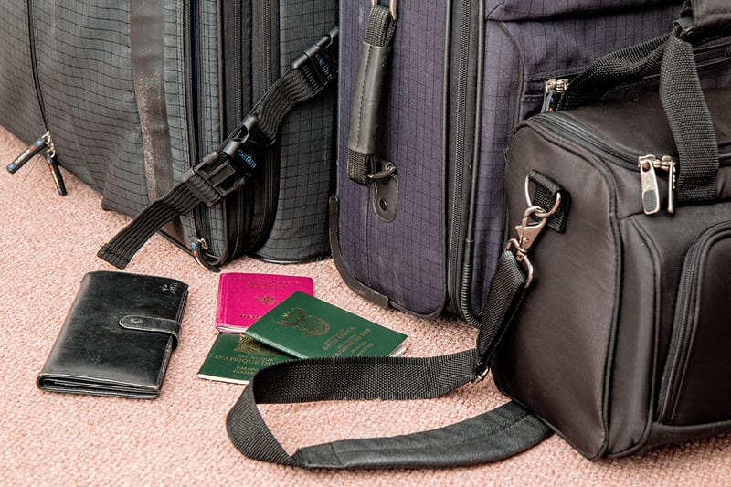 Travel Luggage